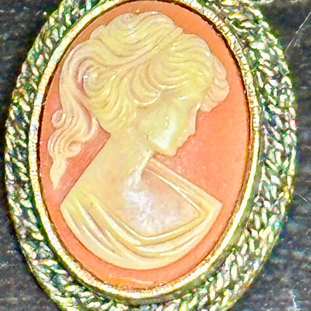 Vintage 60s Coral-Color Peri Cameo Pin and Necklace